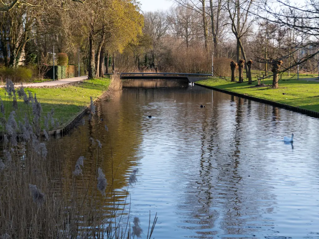 Reyerdijk 35D, ROTTERDAM