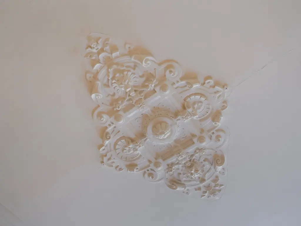 Copernicusstraat 29, Den Haag