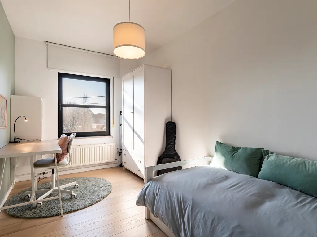 Koekenberg 41  , Mol