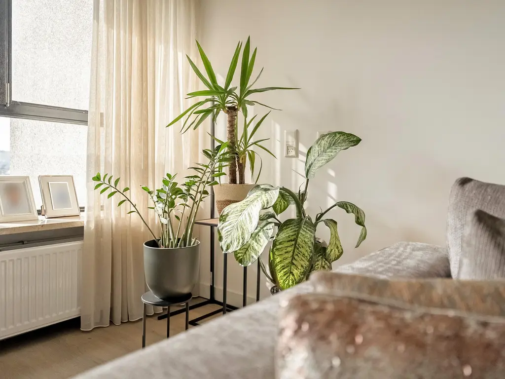 Oostmaaslaan 270, ROTTERDAM