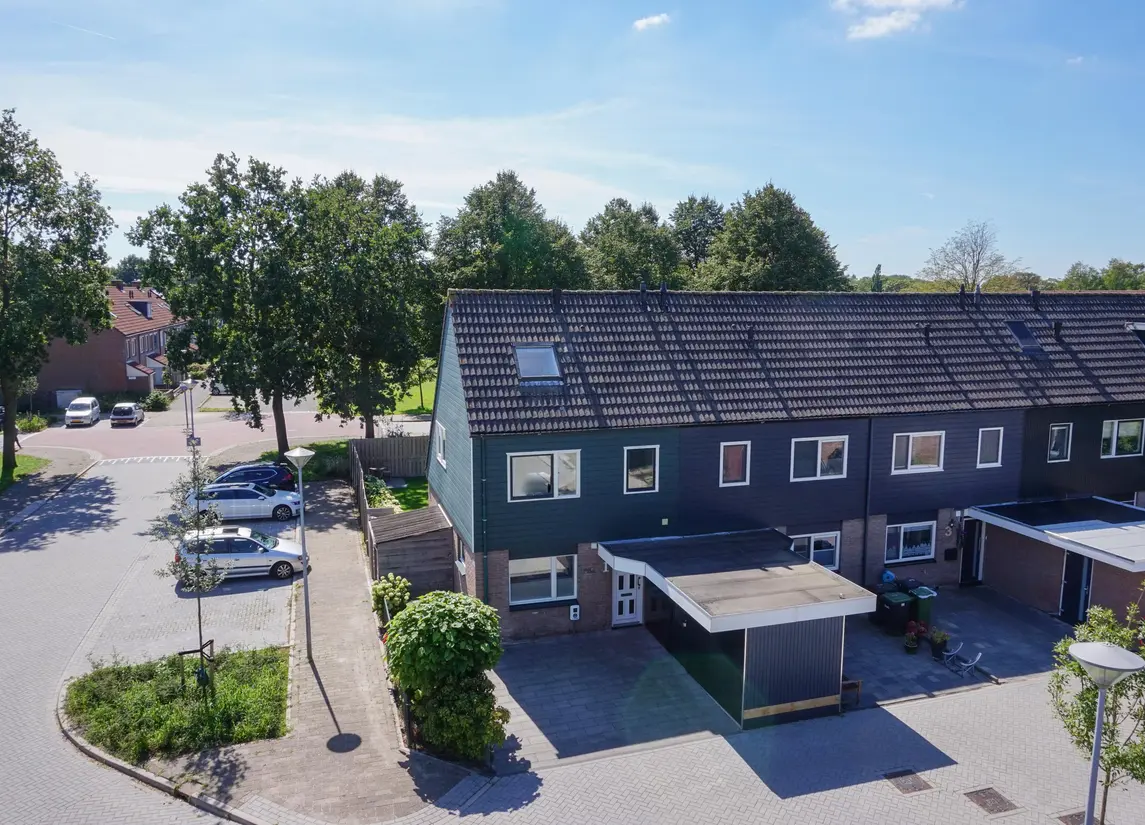 Zwanebloem 1