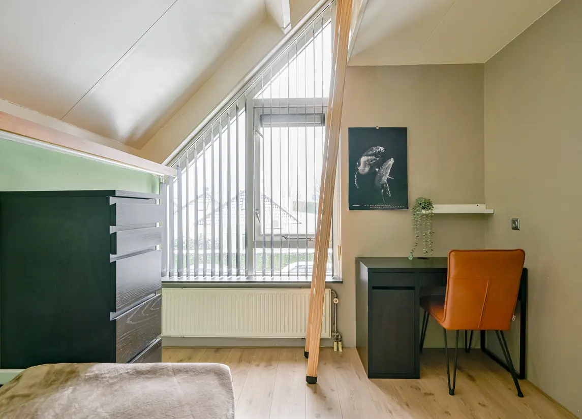 Zwarte Dolfijn 27