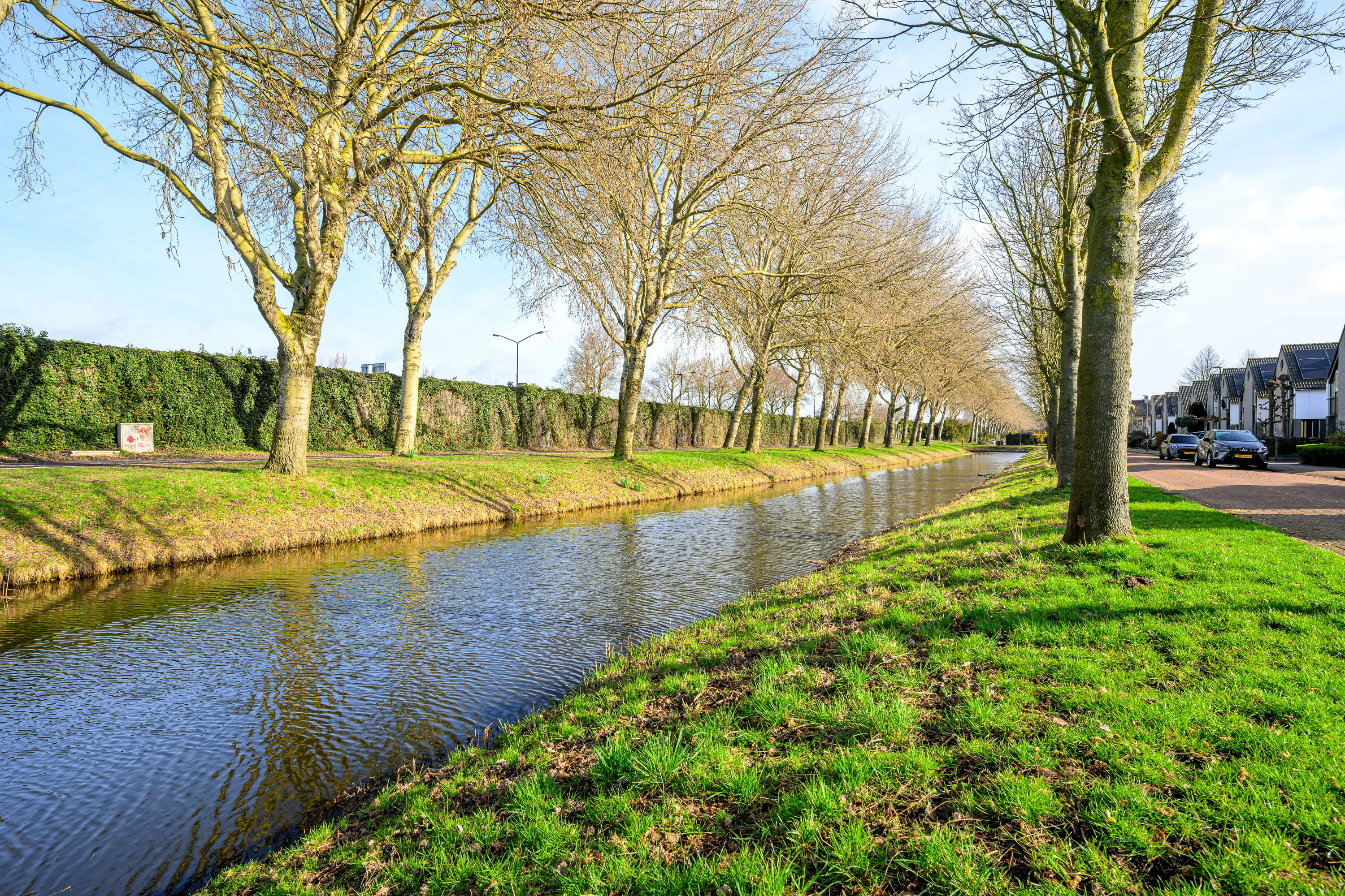 Zwarte Dolfijn 27