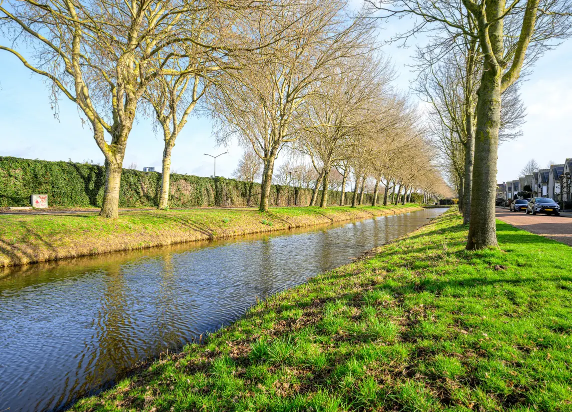 Zwarte Dolfijn 27