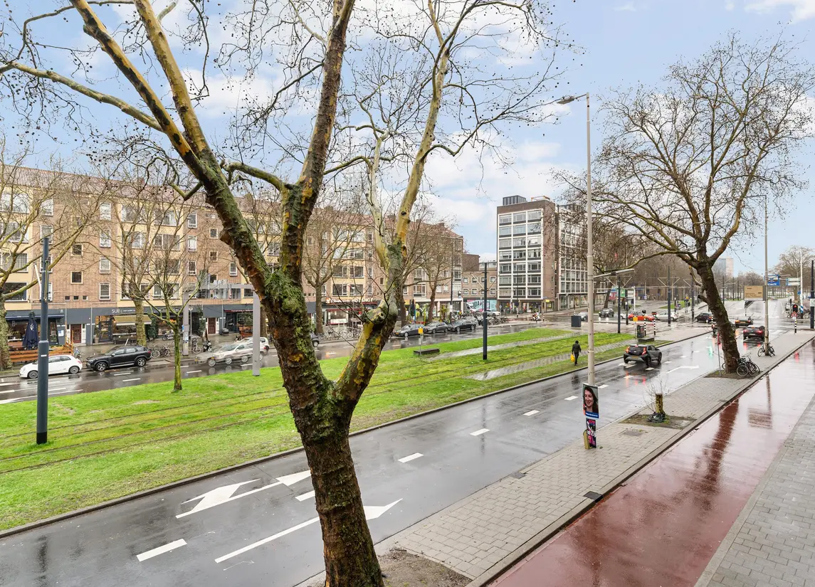 Goudsesingel 219B