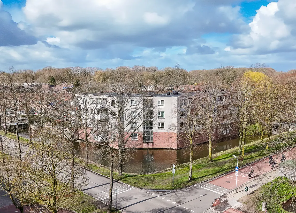 Hinderstein 46
