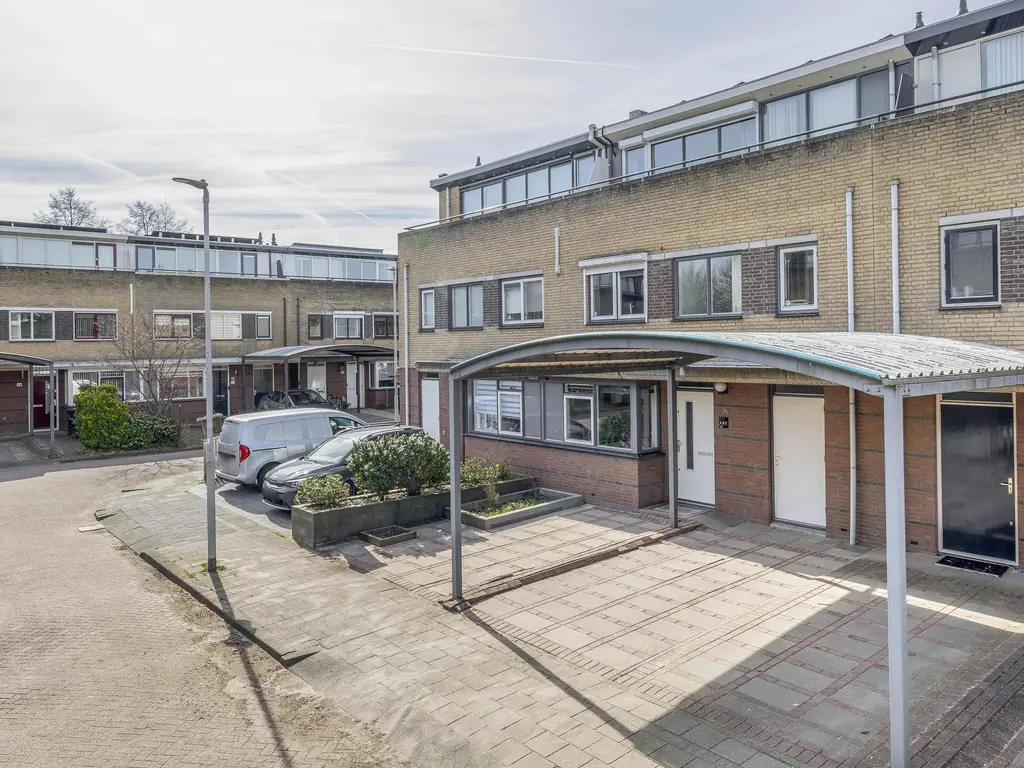 Damhertstraat 41, ROTTERDAM