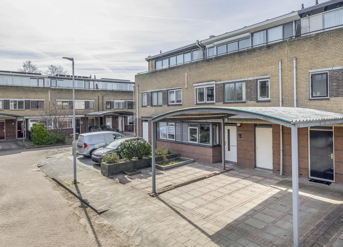 Damhertstraat 41