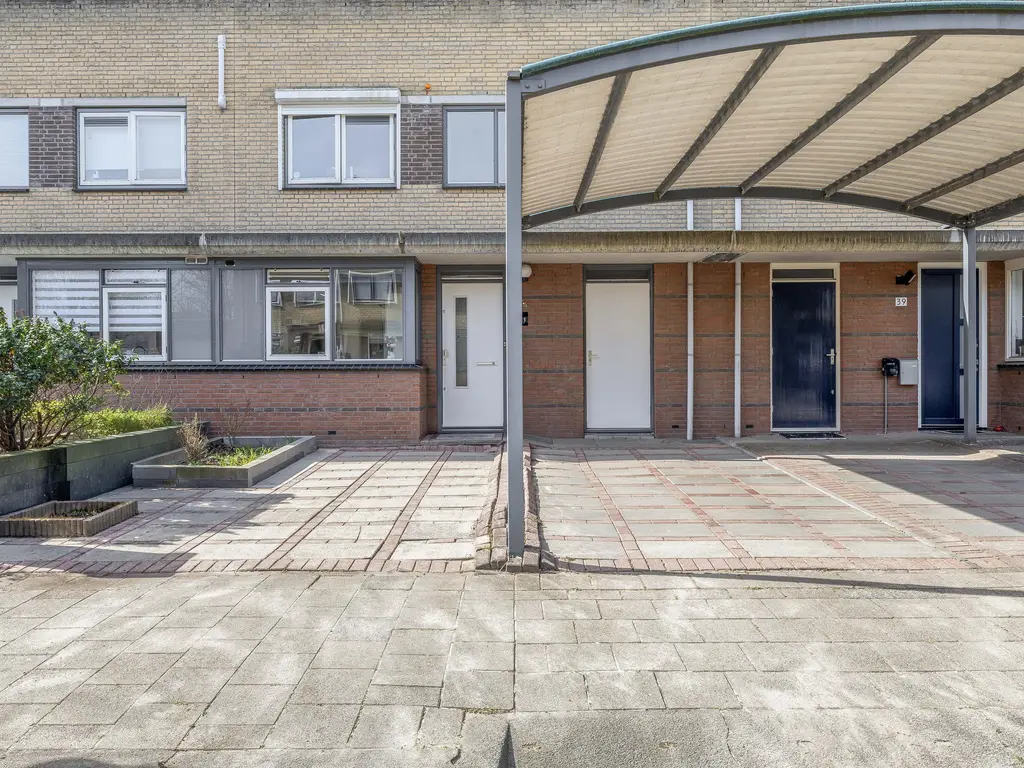 Damhertstraat 41, ROTTERDAM