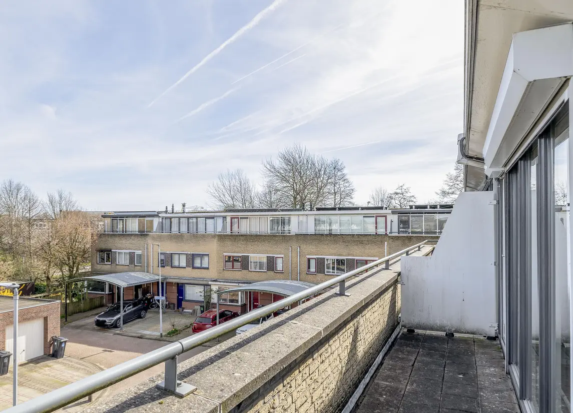Damhertstraat 41