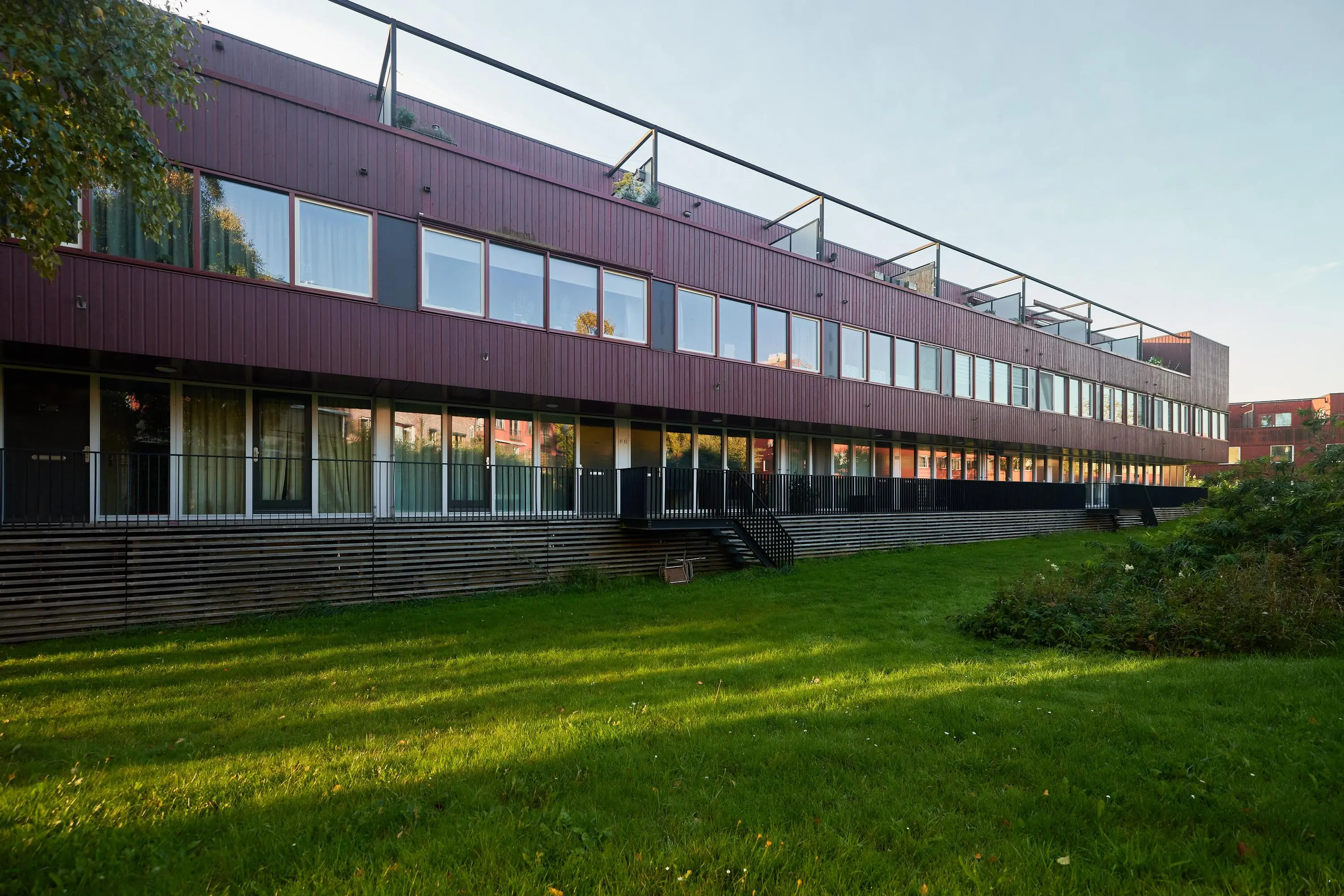 Baars 63