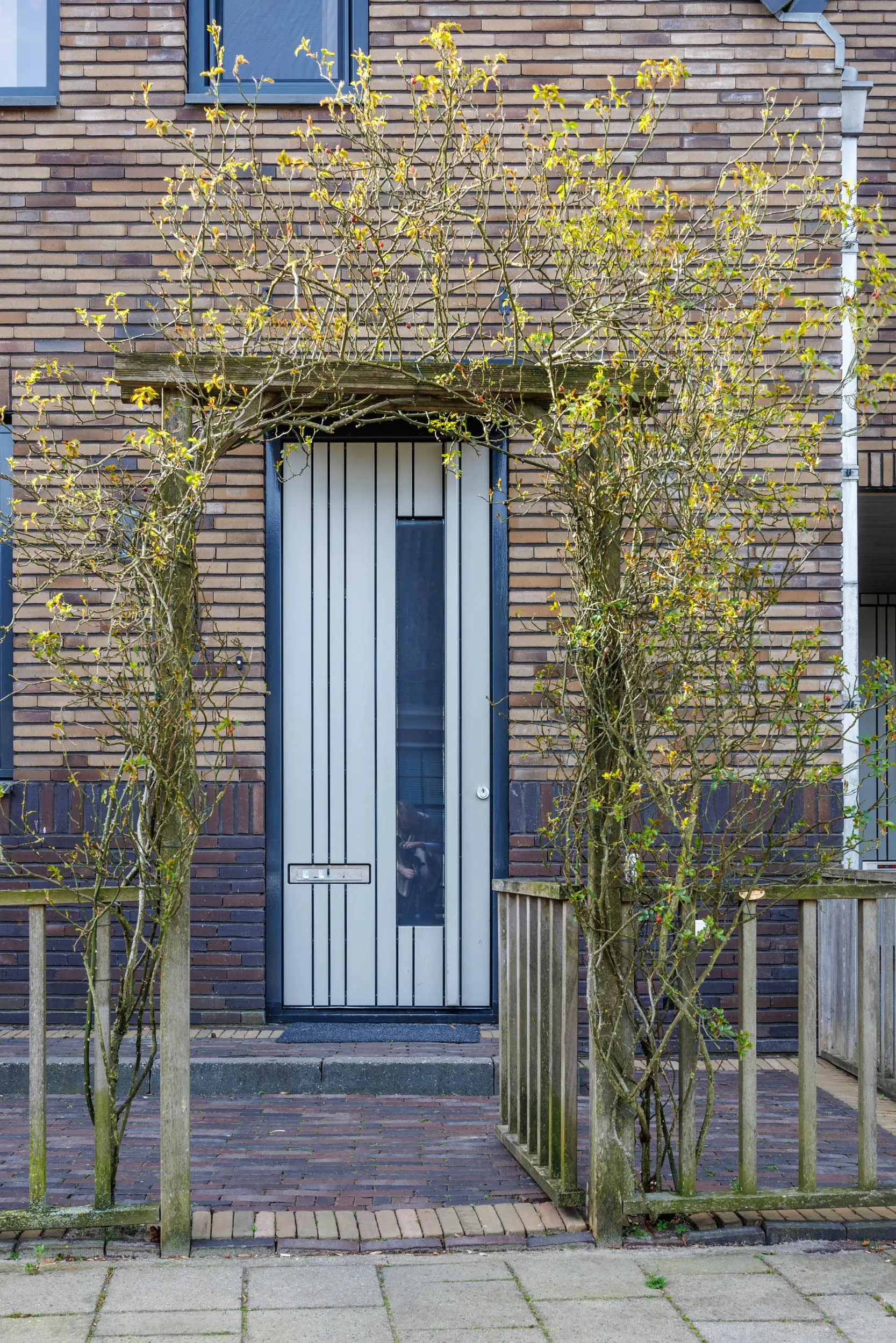 Hoge Rijndijk 46A