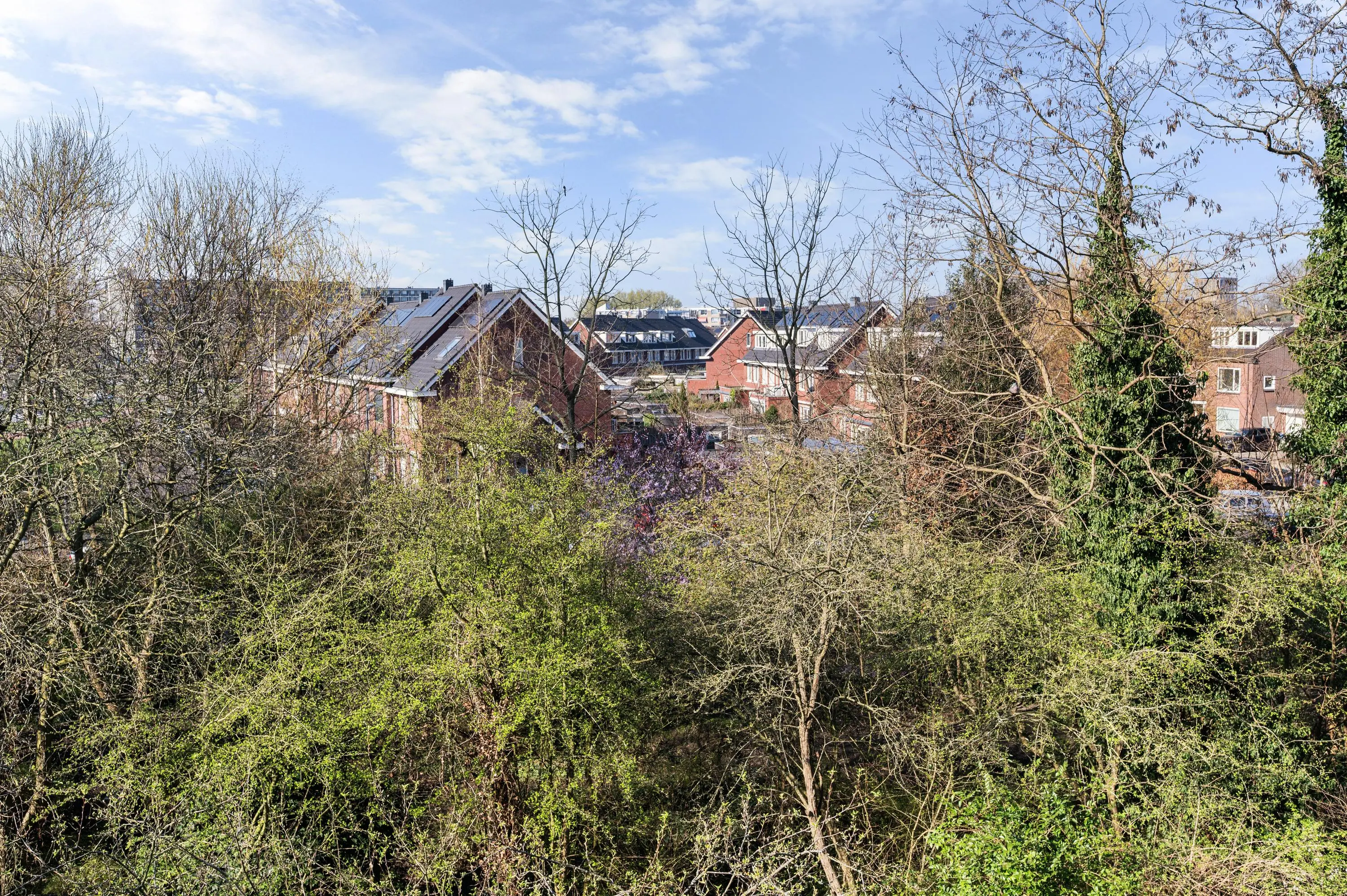 West-Sidelinge 310