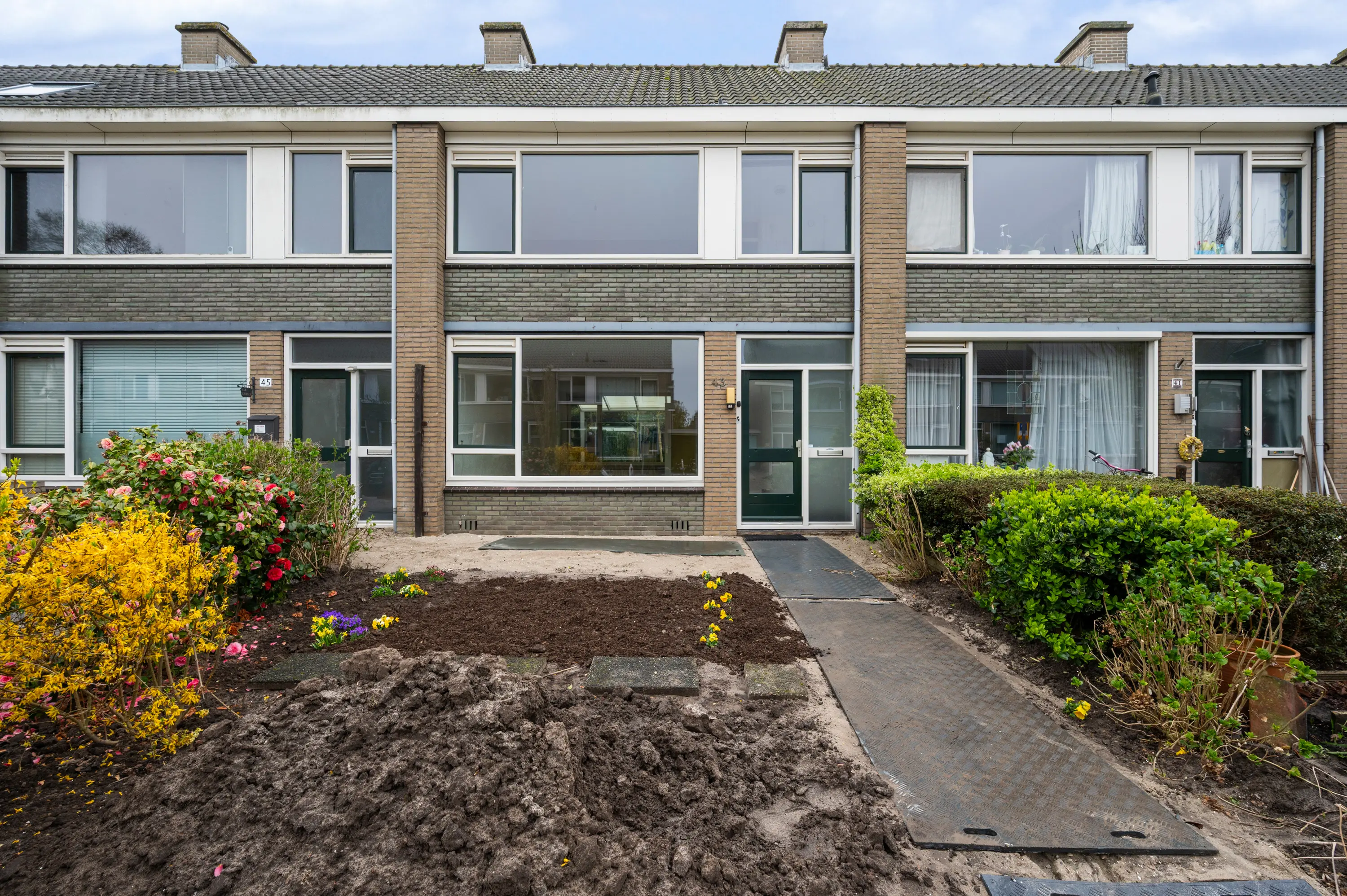 Gelebrem 43