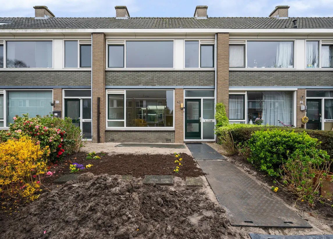 Gelebrem 43