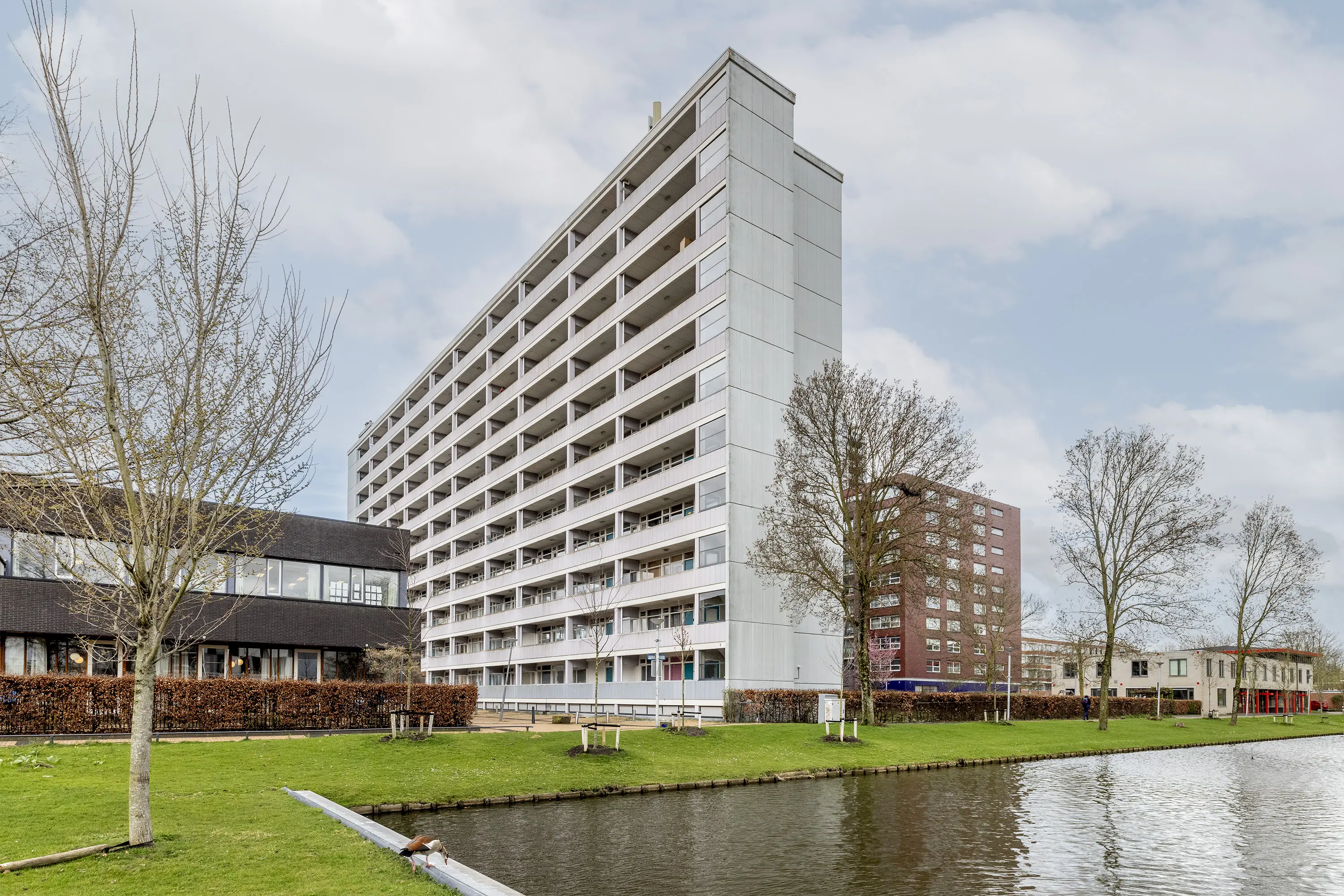 Plein 1953 130