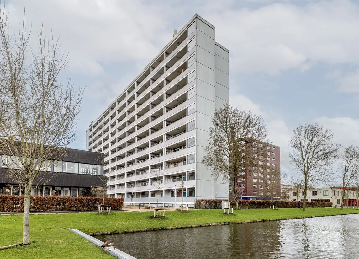 Plein 1953 130