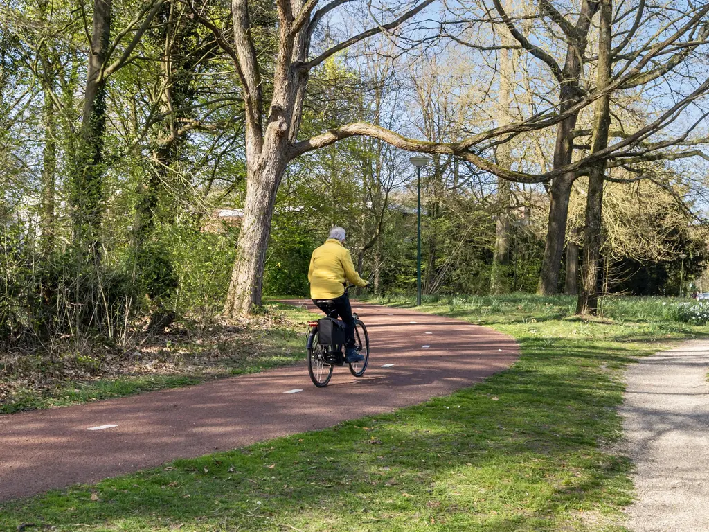 Vossenkamp 24, DRIEBERGEN-RIJSENBURG