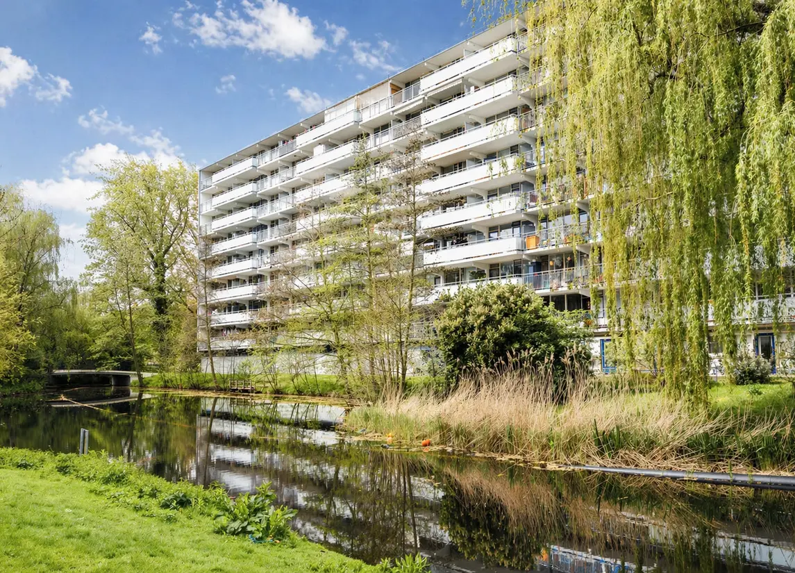 Condorhorst 95