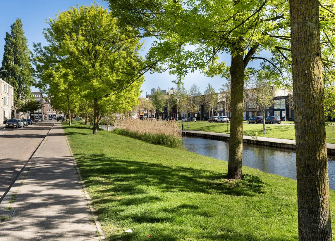 Lepelaarsingel 43B
