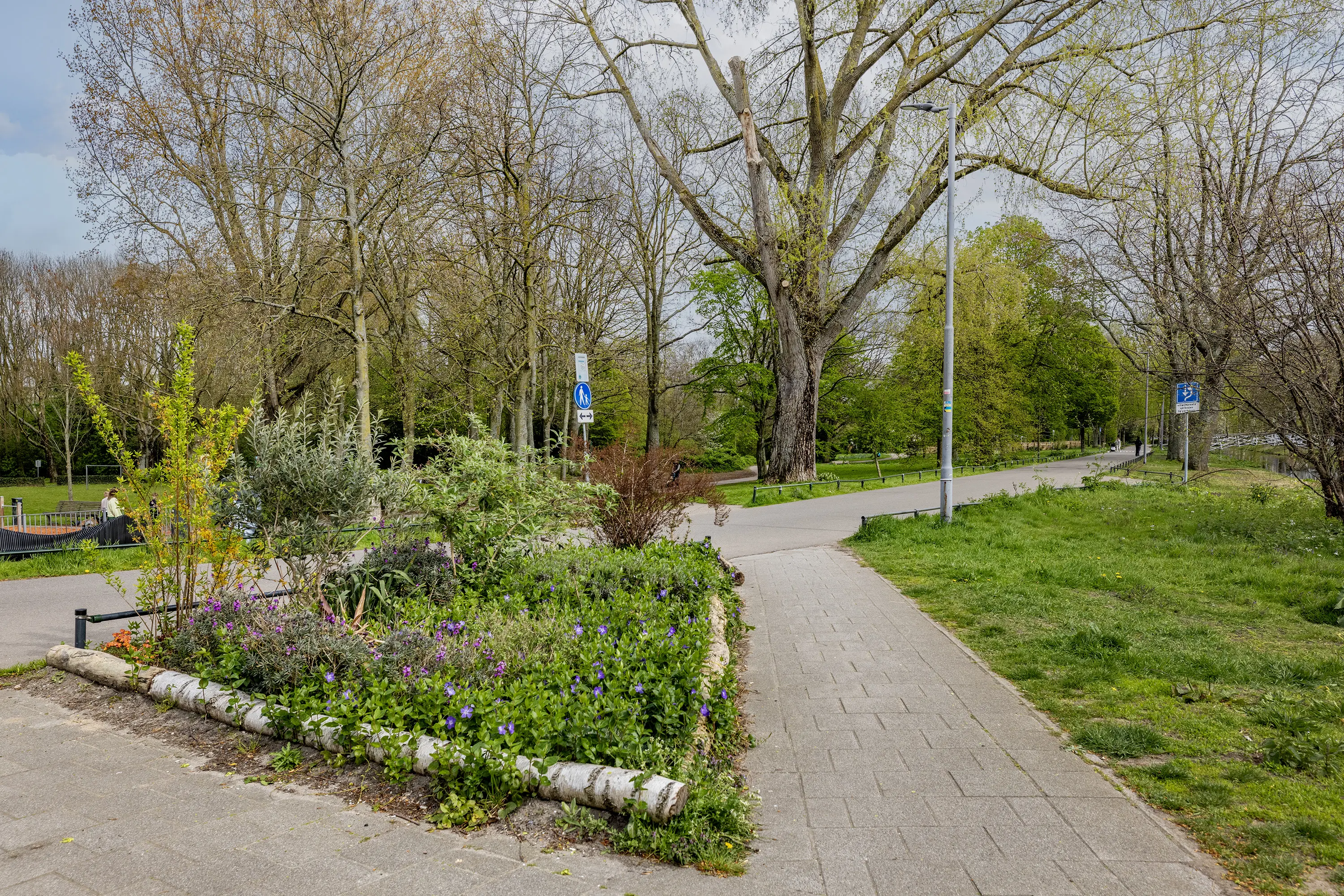 Hoofdlaan 39
