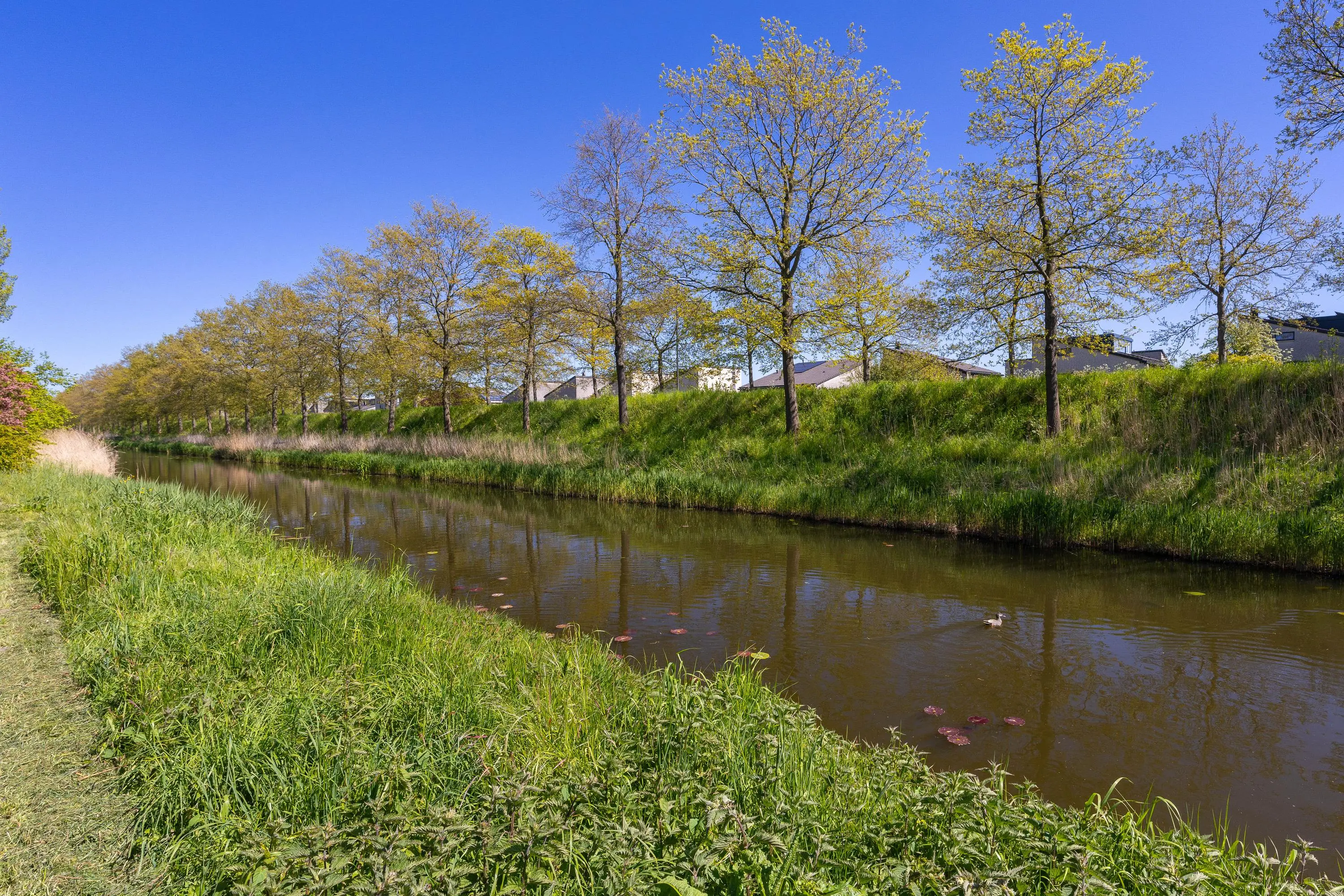 Drecht 27