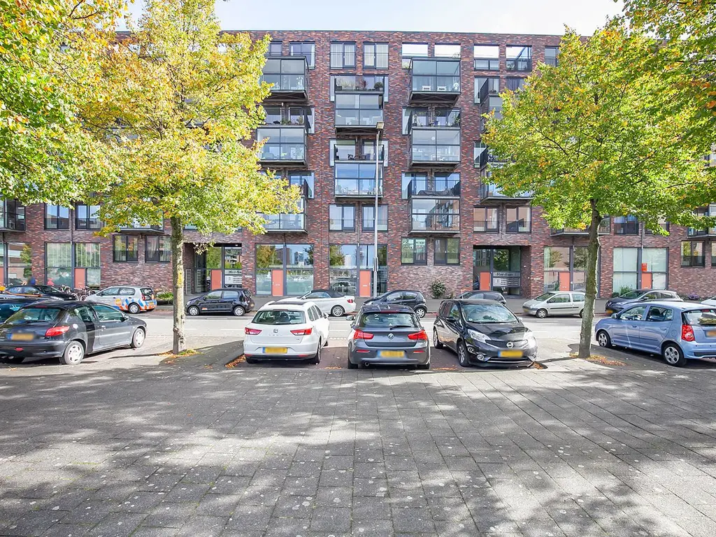 Lodewijk Pincoffsweg 486, ROTTERDAM