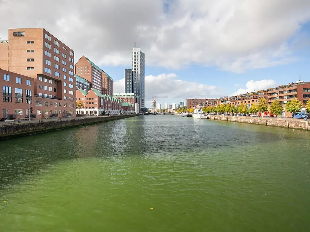 Lodewijk Pincoffsweg 486, ROTTERDAM