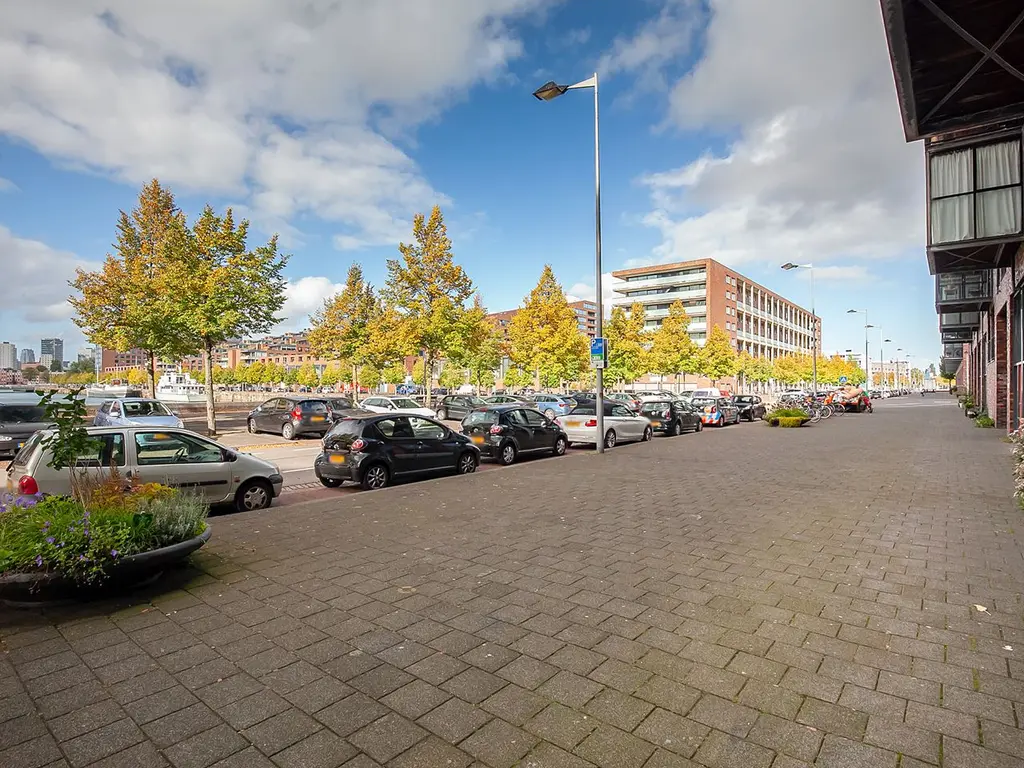 Lodewijk Pincoffsweg 486, ROTTERDAM