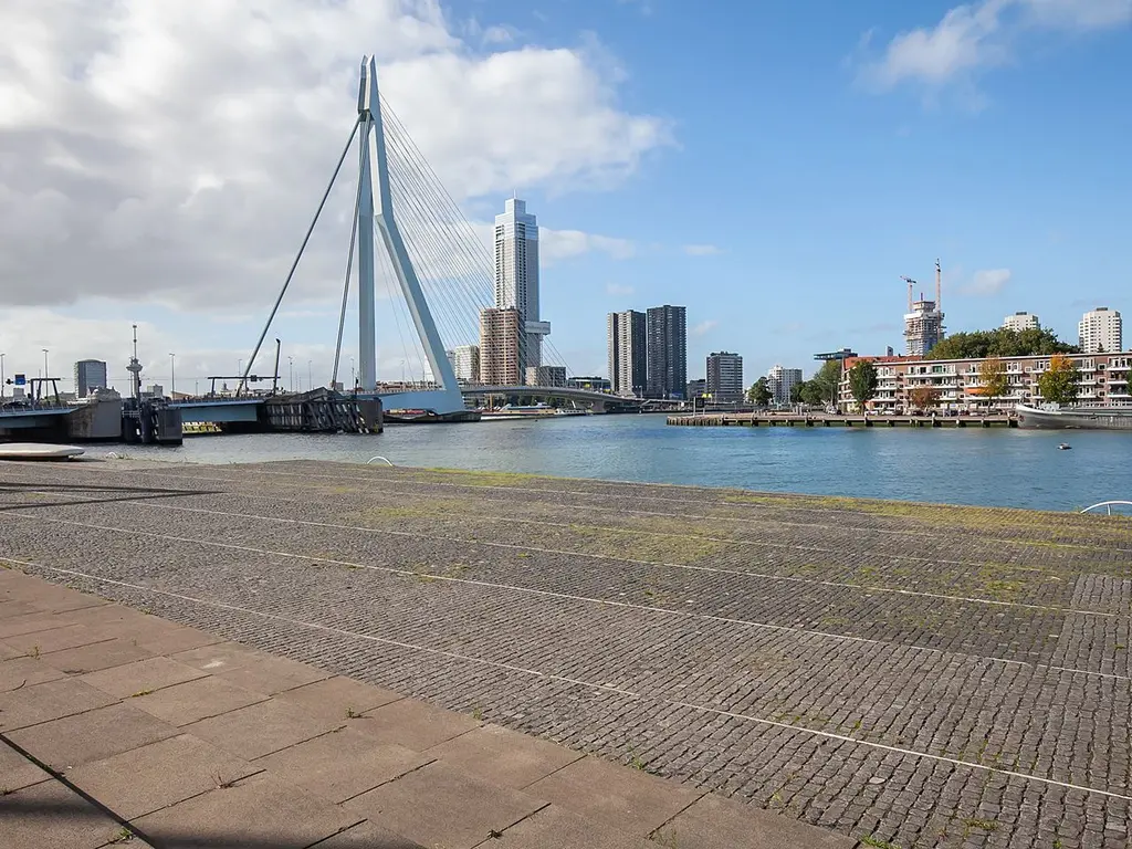 Lodewijk Pincoffsweg 486, ROTTERDAM