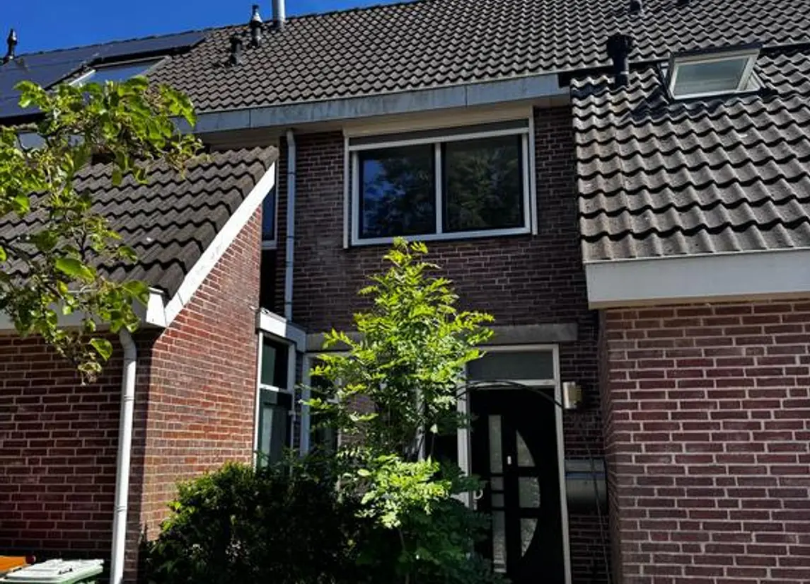 Hondsdraf 58