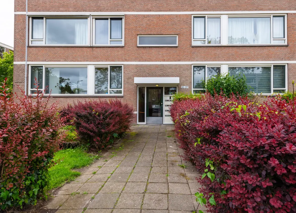 Bredenoord 193