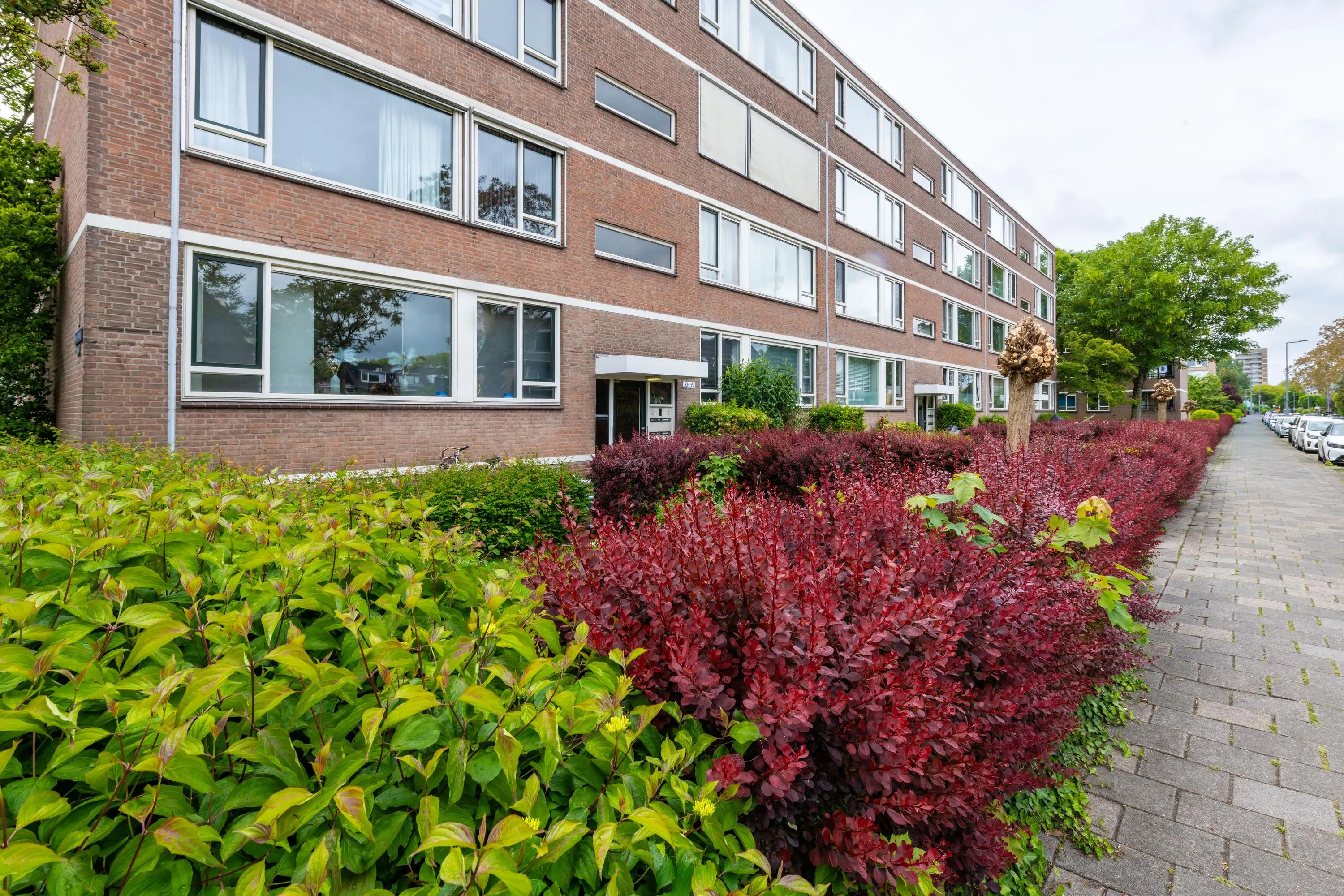 Bredenoord 193