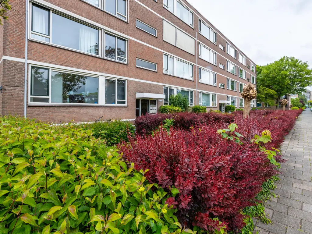 Bredenoord 193, ROTTERDAM