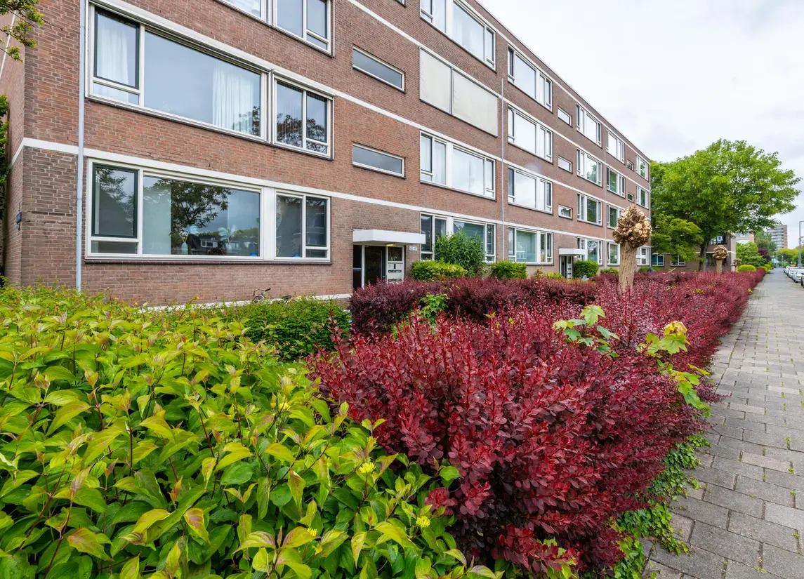 Bredenoord 193