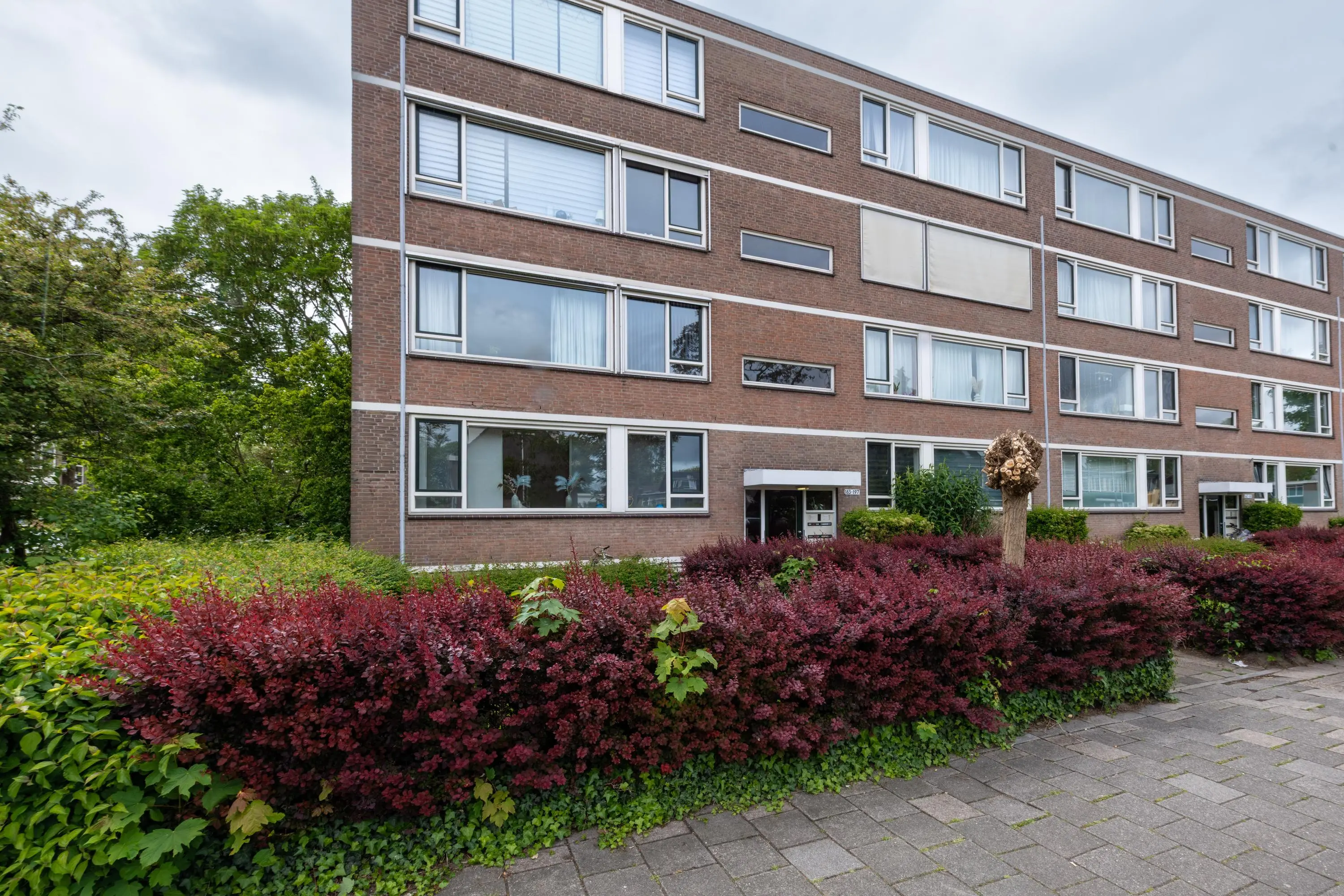 Bredenoord 193