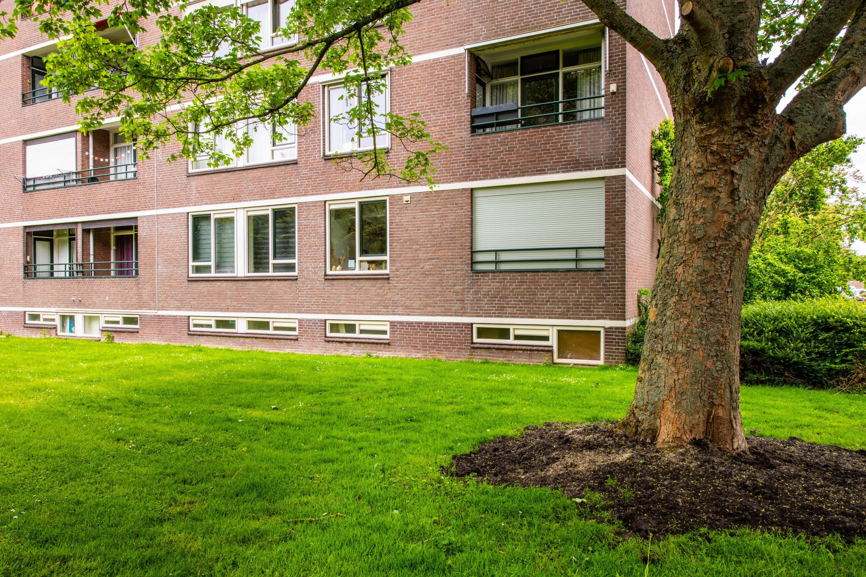 Bredenoord 193