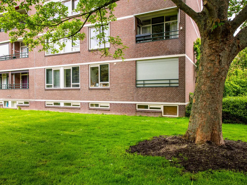 Bredenoord 193, ROTTERDAM