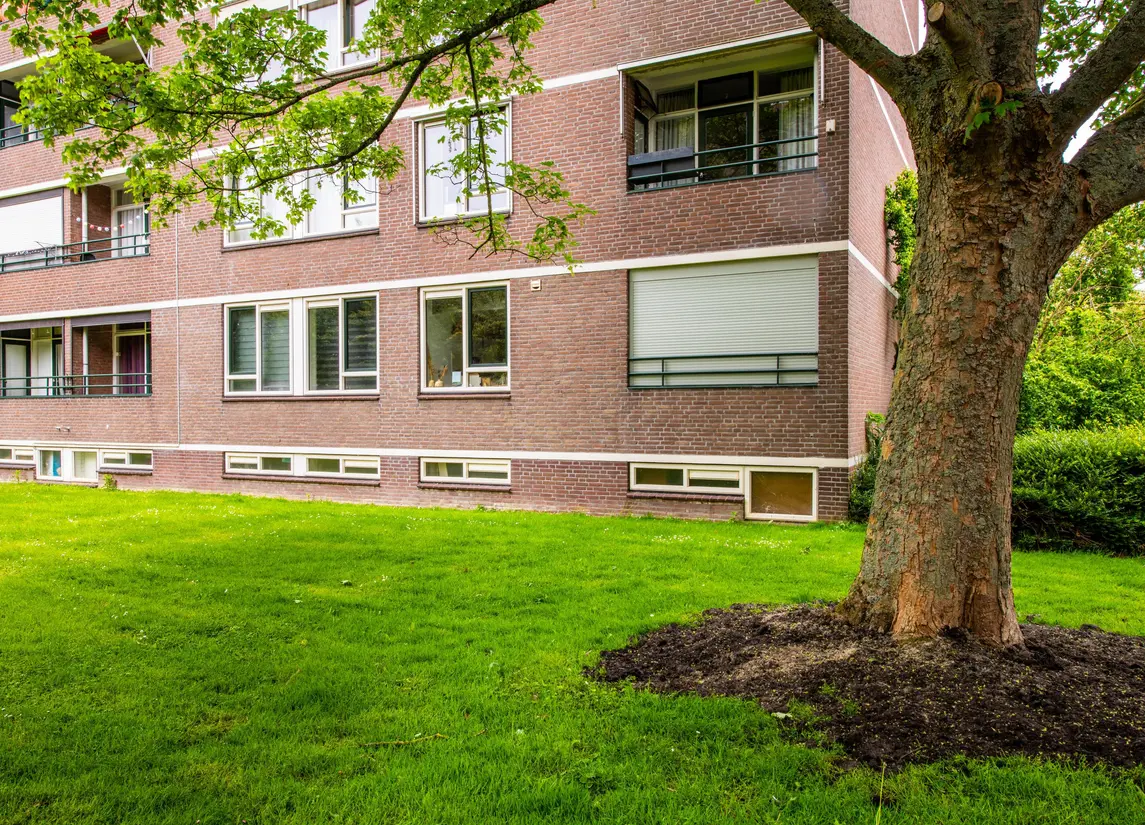 Bredenoord 193