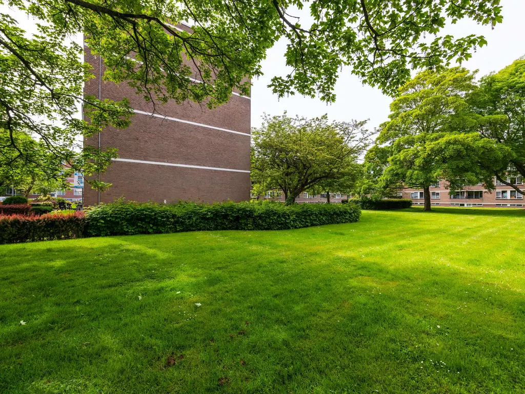 Bredenoord 193, ROTTERDAM