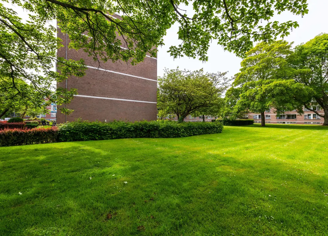 Bredenoord 193
