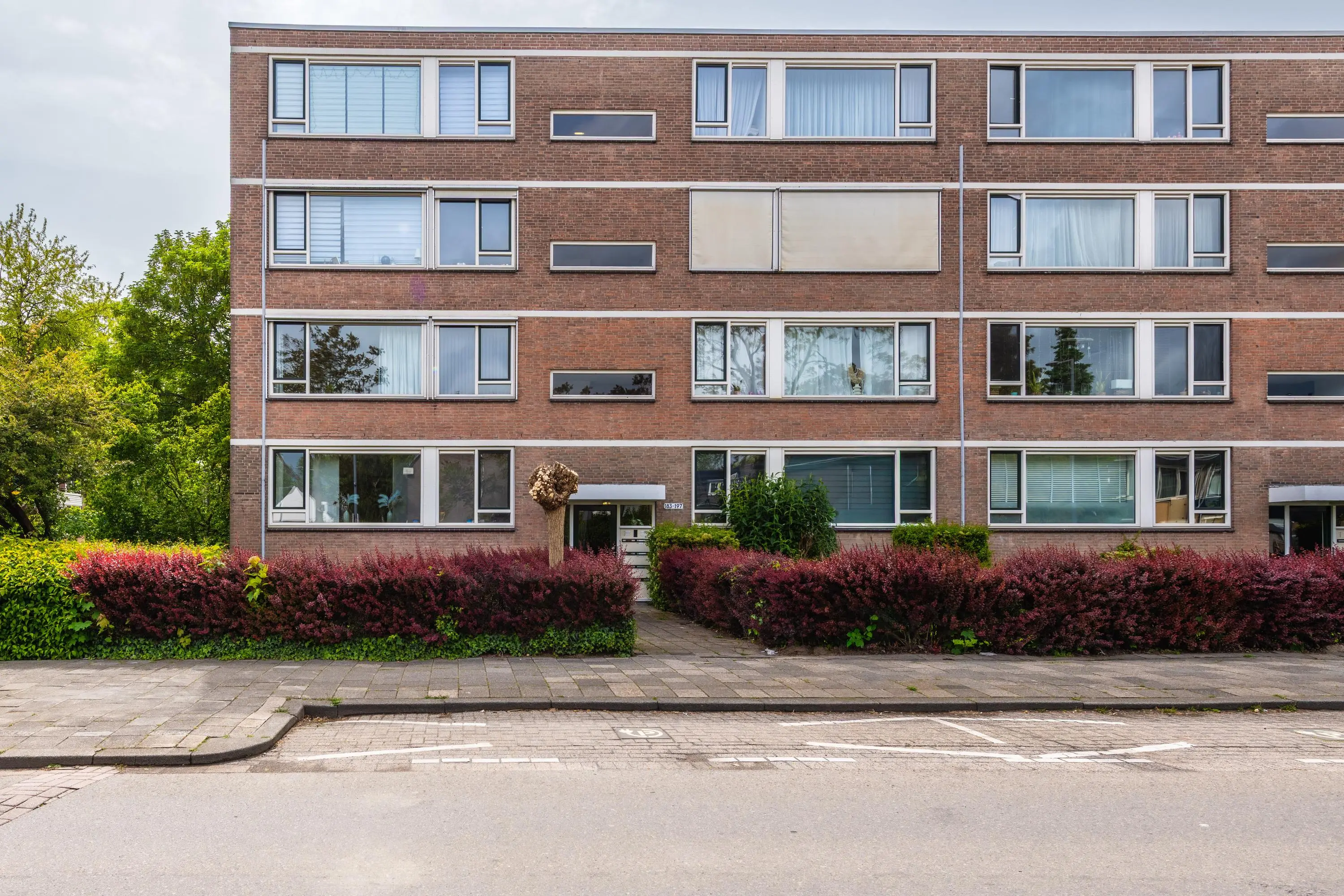 Bredenoord 193