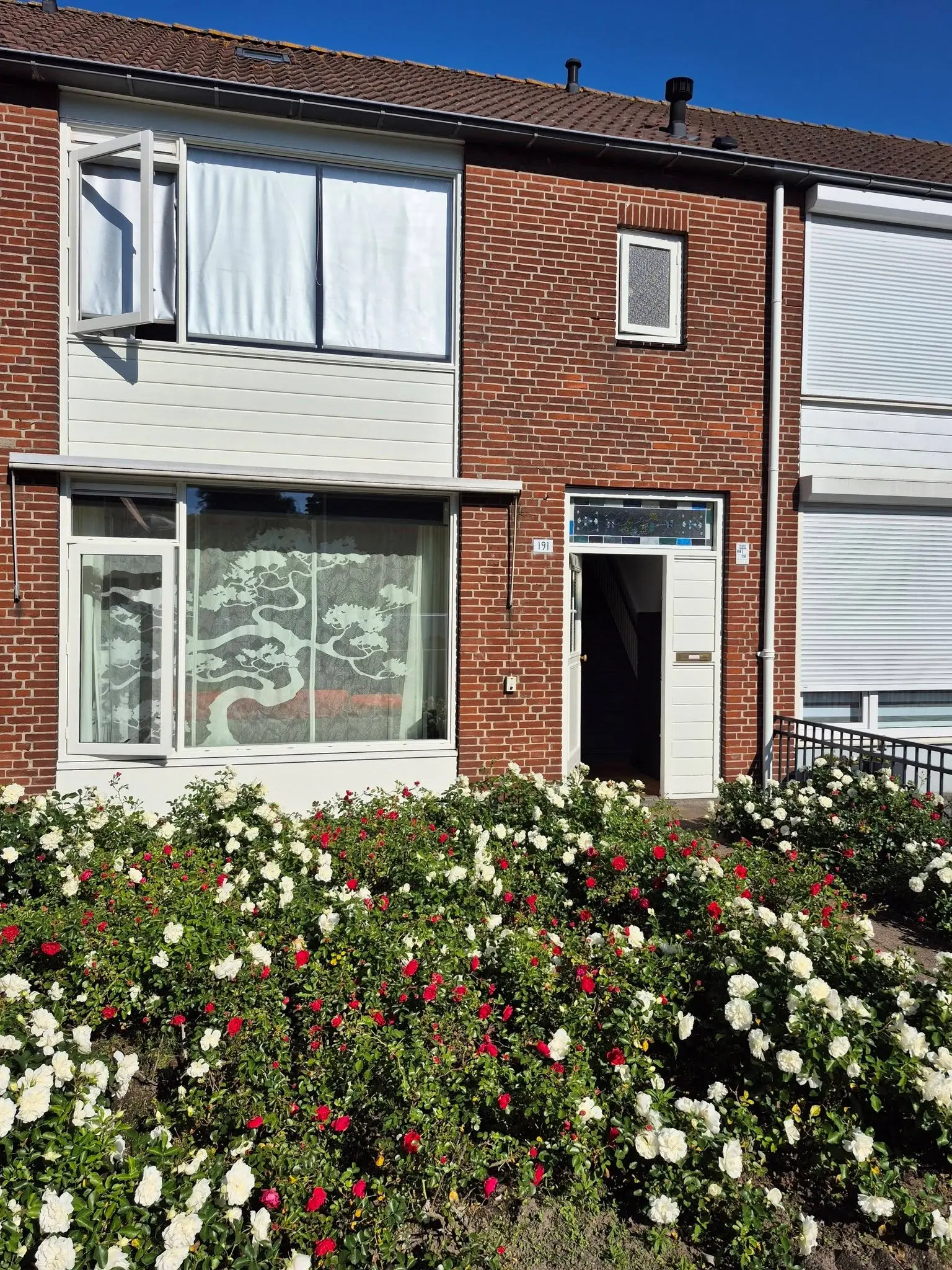 Bellinistraat 191