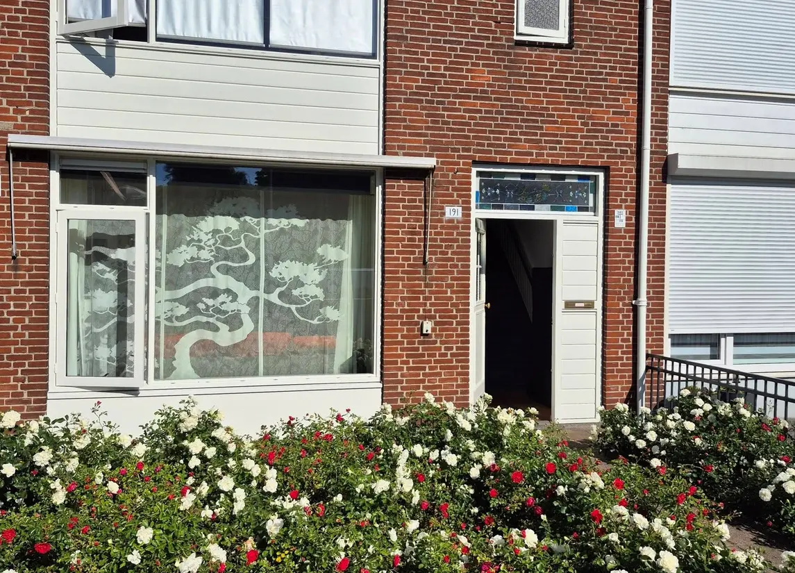 Bellinistraat 191