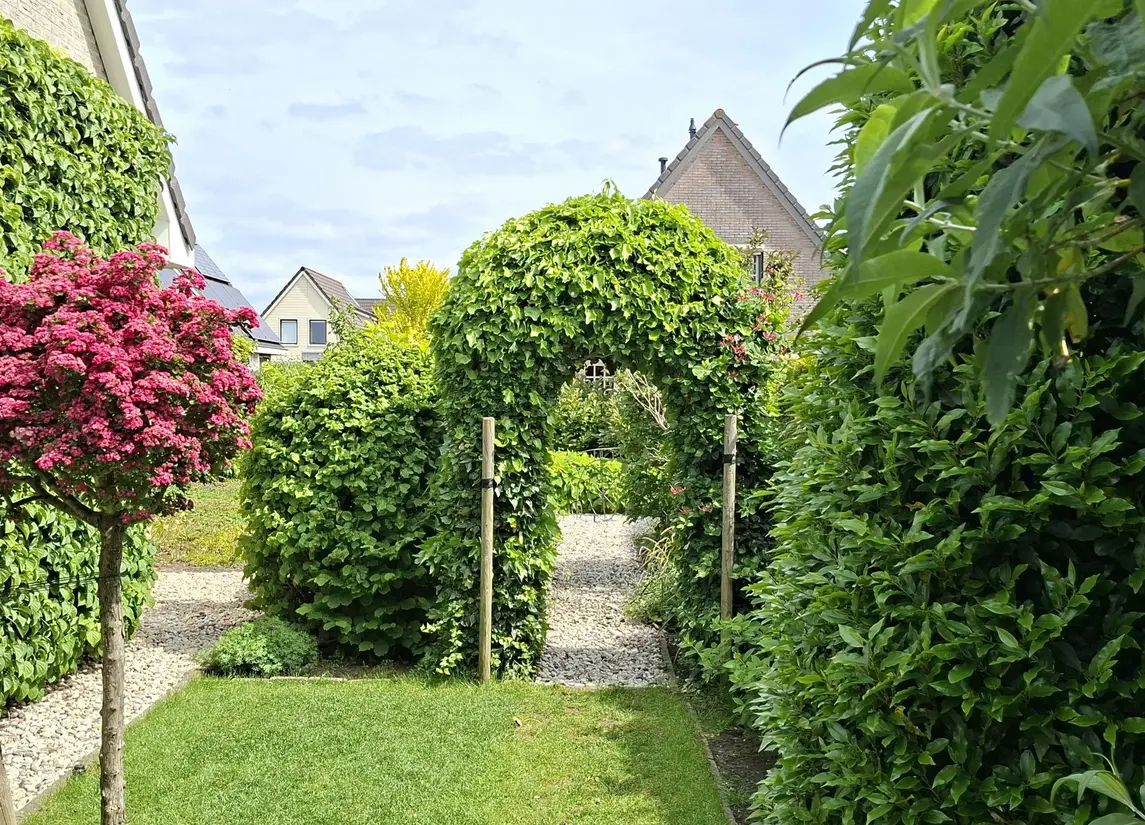Liendense Singel 39