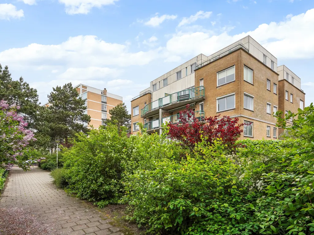 Louis Davidsstraat 146, Den Haag
