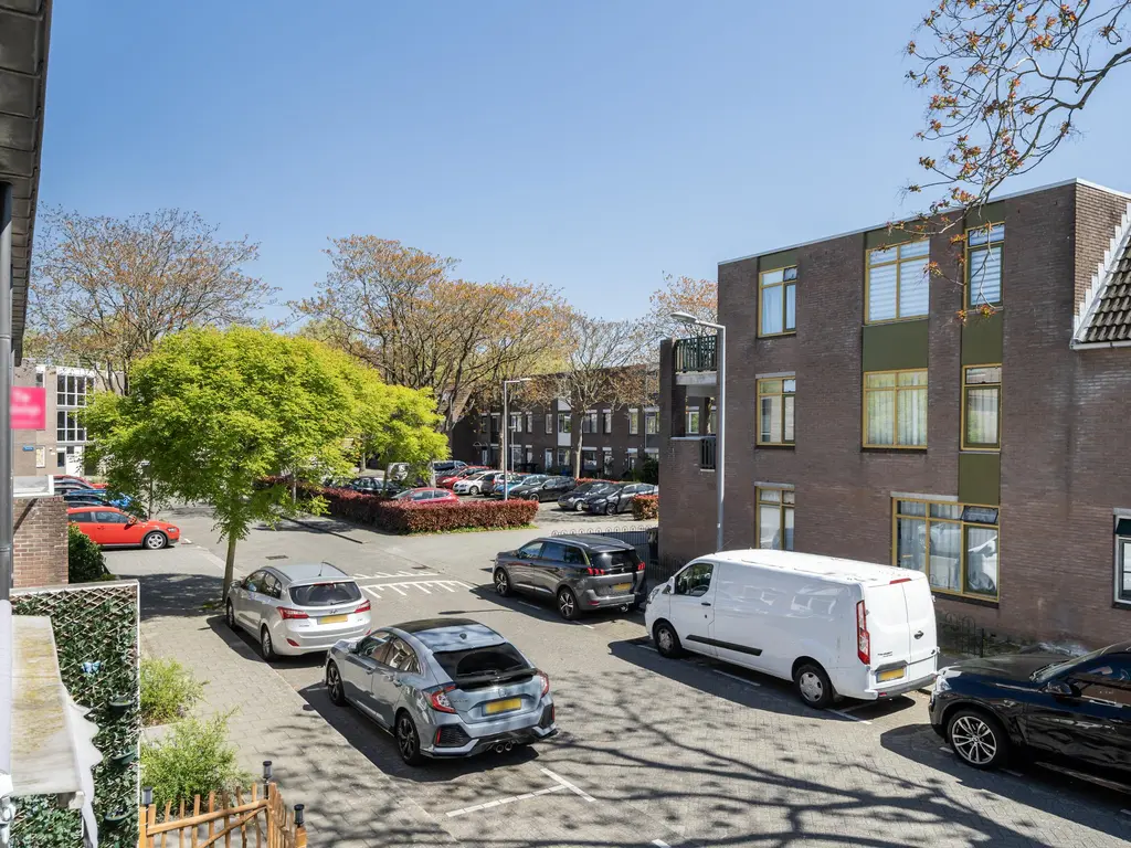 Maracas 55, ROTTERDAM