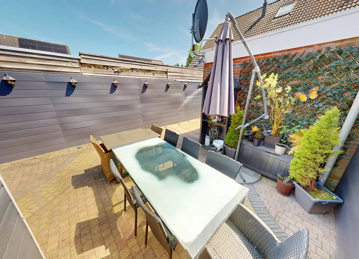 Draak 7