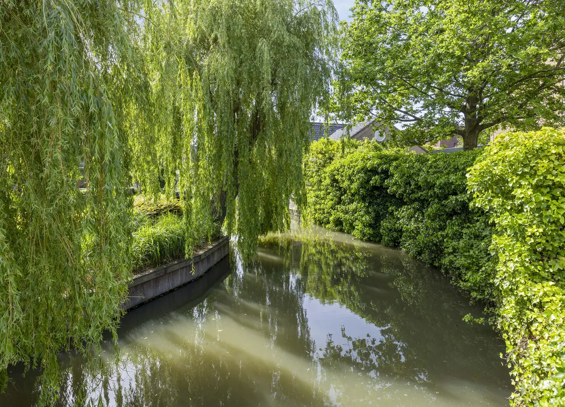 Endeldijk 36