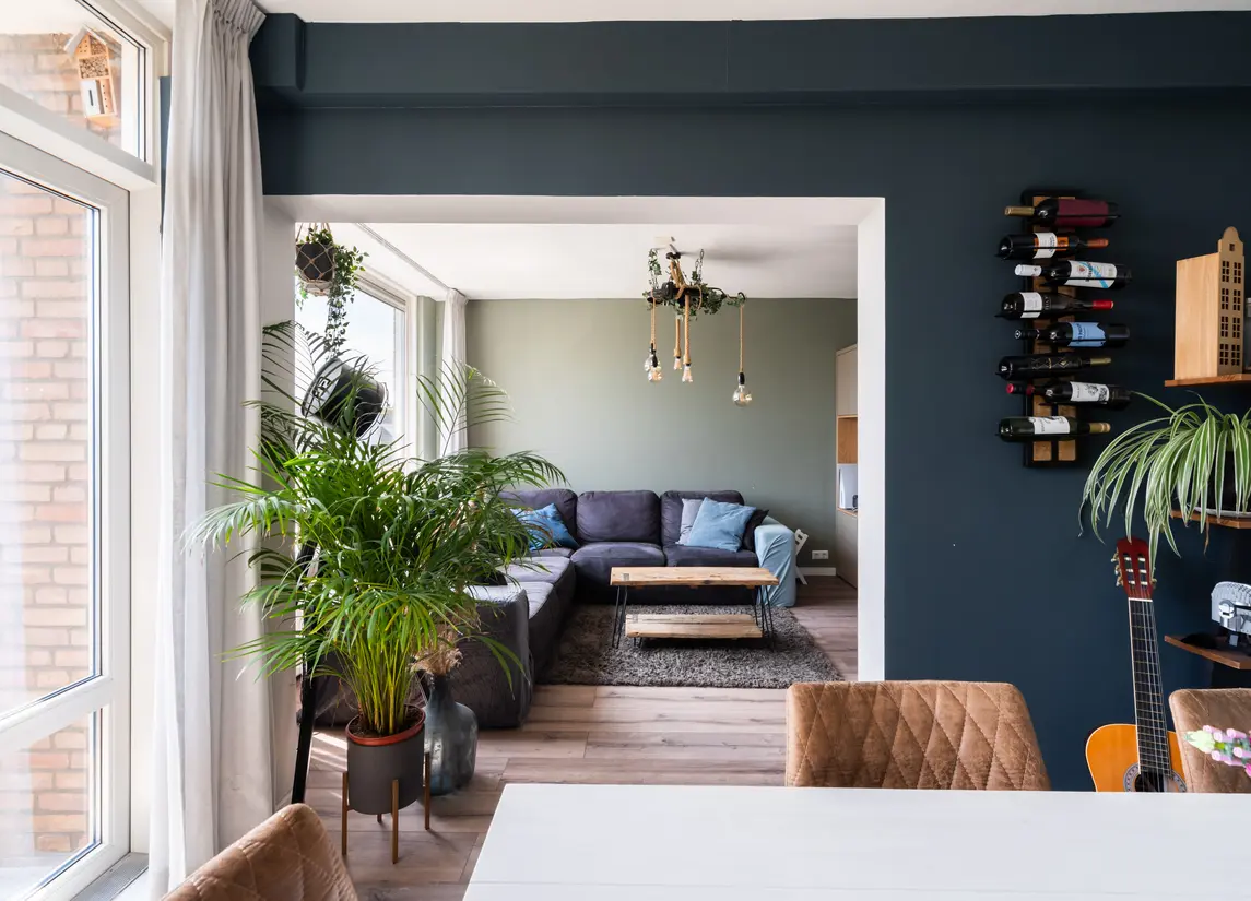 Pieter de Hoochstraat 36